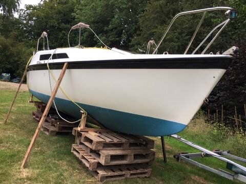 Bow View